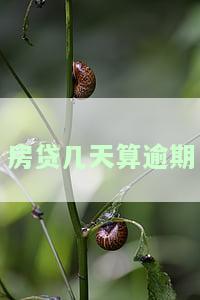 房贷几天算逾期上征信，房贷逾期多久会上征信？你需要知道的天数