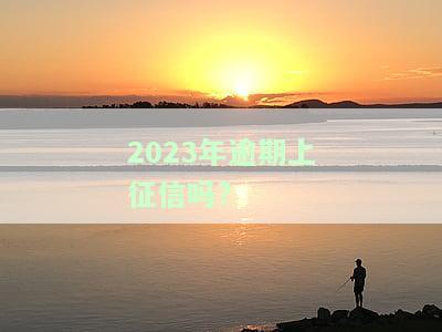 2020年逾期的人，2020：逾期人群的挑战与应对