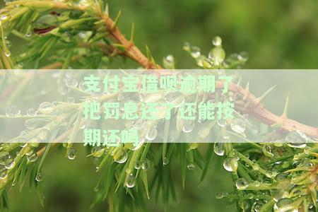 支付宝借呗逾期了把罚息还了还能按期还吗-支付宝借呗逾期了把罚息还了还能按期还吗