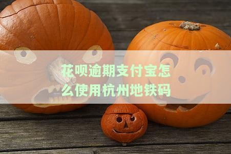 州花呗逾期能不能人工买票坐高铁，州花呗逾期：能否通过人工购买高铁票？