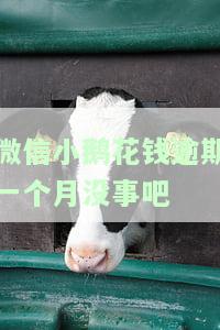 微信小鹅花钱逾期多久上征信，警惕！微信小鹅花钱逾期多久会上报到个人征信记录？