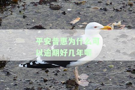 平安普为什么可以逾期好几年呢-平安普为什么可以逾期好几年呢怎么回事