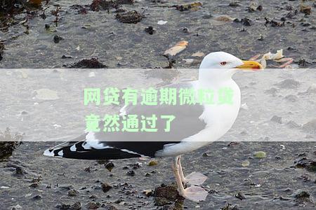 网贷有逾期微粒贷竟然通过了怎么办，网贷逾期却通过微粒贷？解决方案大公开！