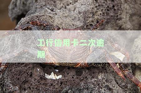 工行信用卡二次逾期还能协商吗，工行信用卡二次逾期：还有协商的余地吗？