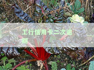 工行信用卡二次逾期怎么办，遇到工行信用卡二次逾期，如何应对？