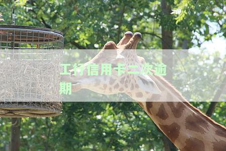 工行信用卡二次逾期起诉案例，工行信用卡二次逾期：法院受理并进行审理