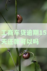 工商车贷逾期15天还款可以吗怎么还，如何解决工商车贷逾期15天的还款问题？