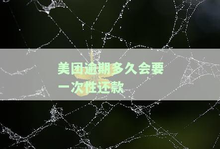 美团逾期多久会要一次性还款呢，美团逾期时间长短对一次性还款的影响