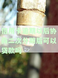 协商还款二次逾期的影响及处理方法