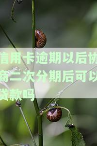 信用卡逾期以后协商二次分期后可以贷款吗
