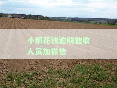小鹅花钱逾期欠款说要见面，小鹅花钱逾期未还，欠款方要求见面协商