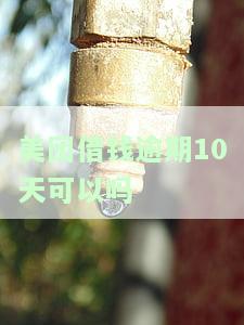 美团借钱逾期十天后会要求全额还款吗，美团借钱逾期10天，是否会被要求全额还款？