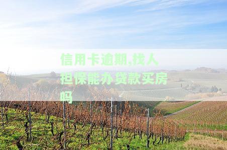 有信用卡欠款可以做担保人吗，信用卡欠款影响担保资格？你需要了解的真相