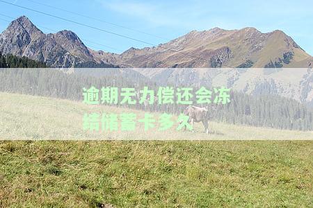 逾期银行冻结账户：期限、影响、流程及原因解析