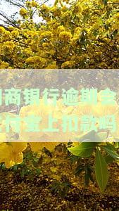网商银行逾期还款后能否继续使用？影响与解决办法解析