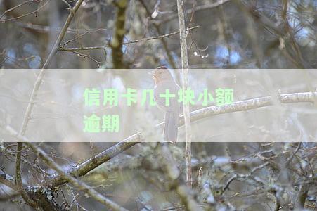 信用卡几十块小额逾期会怎么样，信用卡小额逾期几十块钱会产生哪些后果？