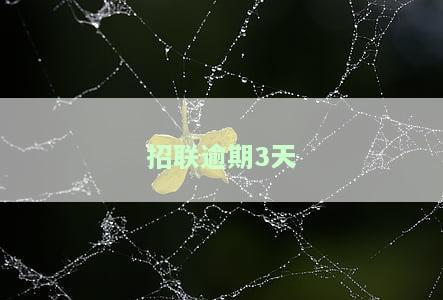 招联逾期几个小时，如何避免招联逾期？几个小时的宽限期你需要知道