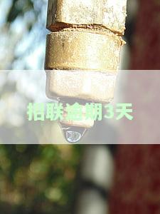 招联逾期两天还款后能否再次借款？逾期20天客服称可继续借款