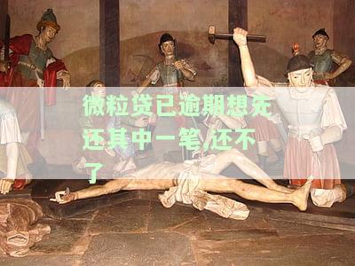 微粒贷已逾期，想先还一部分却还不了？怎么办？