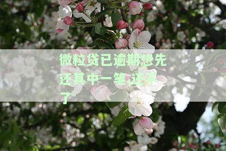 微粒贷已逾期想先还其中一笔，但无法偿还，该如何处理？
