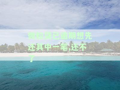 微粒贷逾期还了一部分还是催收怎么办，如何处理微粒贷逾期还款后仍被催收的情况？