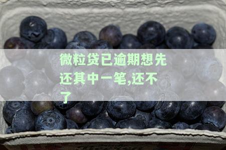 微粒贷逾期怎么还部分钱，如何偿还微粒贷的逾期欠款？分批次还款攻略