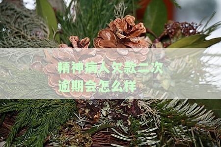 精神病人欠款二次逾期：如何处理及监护人的责任？