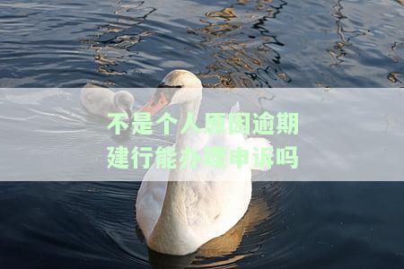 不是个人原因逾期建行能否办理申诉？影响及解决办法