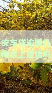 平安车贷逾期多久会收车,收车怎么处理，警惕！平安车贷逾期多久会被收车？收车后该如何处理？