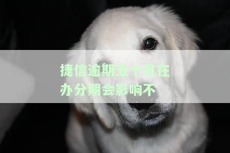 捷信逾期五个月在办分期会影响不还吗，捷信逾期五个月后办理分期，会对后续还款产生影响吗？