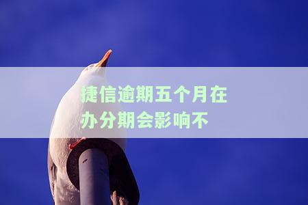 捷信逾期五个月在办分期会影响不借款吗，捷信逾期五个月后办理分期，是否会影响未来的借款申请？