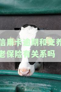 信用卡逾期和交养老保险有关系吗