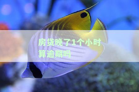 房贷晚了1个小时算逾期吗怎么办，房贷逾期1小时算不算？解决办法大揭秘！