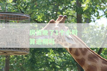 房贷晚了1个小时算逾期吗为什么，房贷还款1小时算不算逾期？详解原因