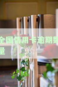 全国信用卡逾期数量：2021年人数及总金额统计
