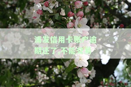 浦发信用卡账户逾期还了,不能交易了，解决浦发信用卡逾期问题：账户恢复正常交易