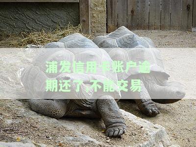 浦发信用卡账户逾期还了,不能交易-浦发信用卡账户逾期还了,不能交易怎么办