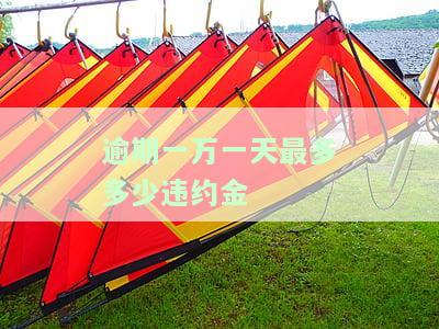 逾期一万一天最多多少违约金-逾期一万一天最多多少违约金呢