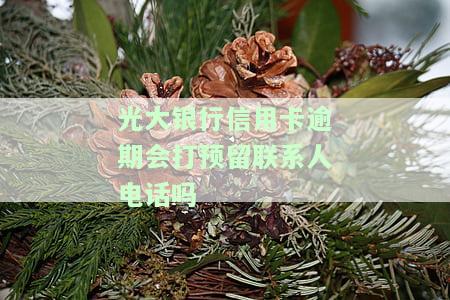 光大银行信用卡逾期会打预留联系人电话吗怎么办，光大银行信用卡逾期：是否会拨打预留联系人电话？解决方案解析