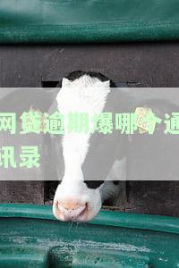 网贷逾期爆了通讯录该怎么办了，网贷逾期：通讯录被爆，如何应对？