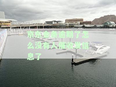 京东金条逾期了怎么没有人催收发信息了-京东金条逾期了怎么没有人催收发信息了呢