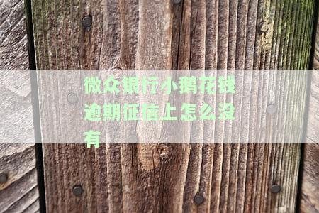 微众银行小鹅花钱逾期征信上怎么没有逾期记录，微众银行小鹅花钱逾期后，为何征信报告中未显示逾期记录？
