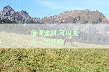 借呗逾期可以先还本金吗，借呗逾期处理：可以优先偿还本金吗？