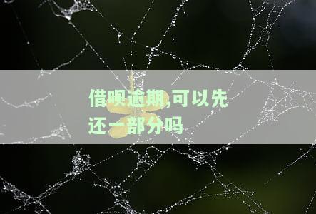借呗逾期，可以先还一部分吗-借呗逾期能不能先还一部分