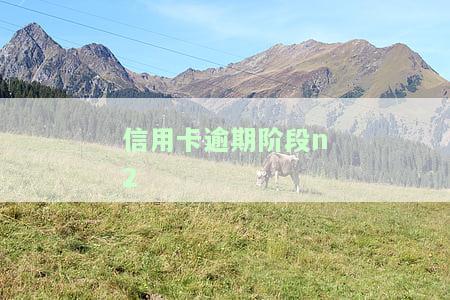 信用卡逾期阶划分：依据、标准与处理方式的全面解析