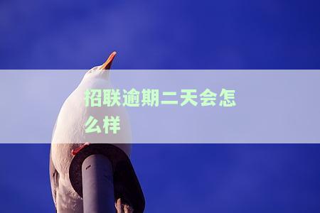 招联逾期两天还款后能否再次借款？逾期多久能将款取出？客服称逾期20天仍可再借