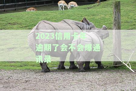 2023信用卡年逾期了会不会爆通讯录呀，2023信用卡逾期是否会导致爆通讯录？