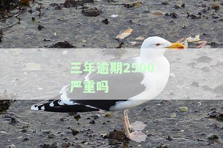 逾期两三年了，逾期两三年，你的信用报告可能已经受到了严重损害