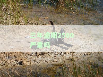 逾期三年会被起诉吗？法院能采取行动吗？影响有哪些？