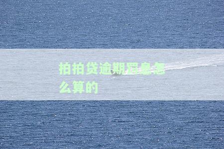 拍拍贷罚息合法吗，解析拍拍贷罚息是否合法？
